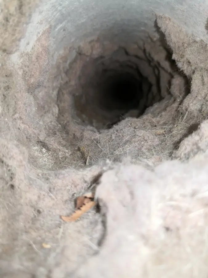 Dryer vent before cleaning — dense lint buildup blocking airflow